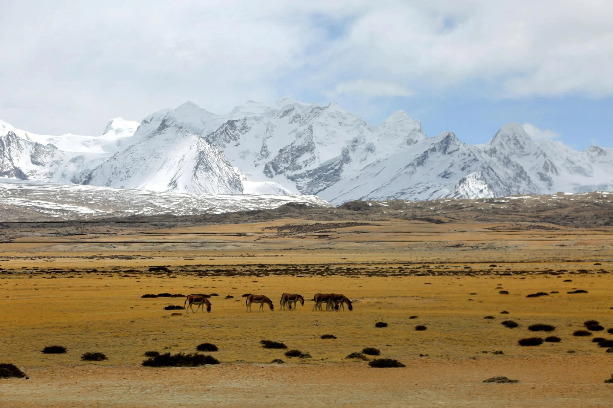 Tibet landscape